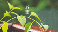 【二十四節(jié)氣灸】谷雨節(jié)氣脾土濕，艾灸降濕濁，脾旺不受邪！